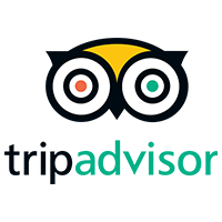 trip-advisor